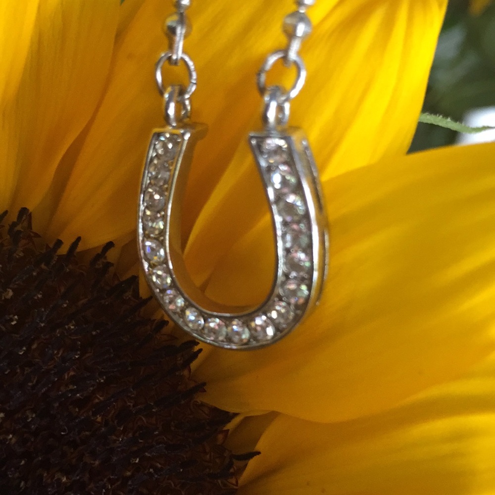 Diamonique horseshoe pendant🍀